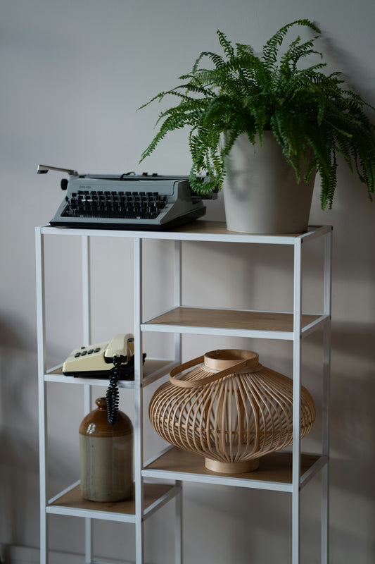 Vintage typewriter and plant on a shelf