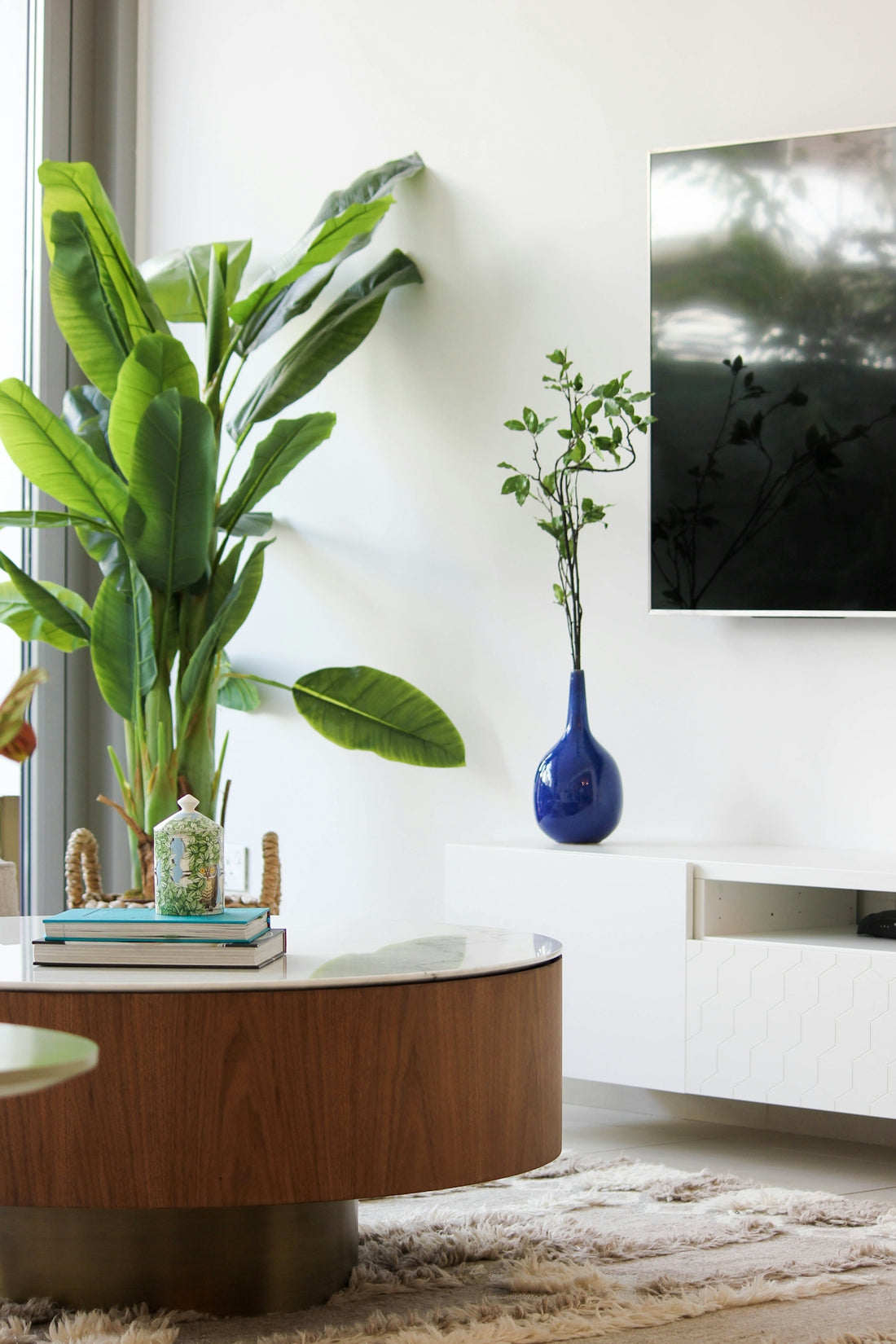 Modern living room with large potted plant and blue vase.