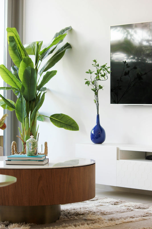 Modern living room with large potted plant and blue vase.