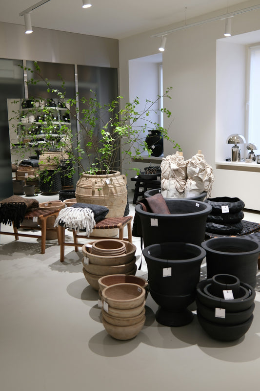 Modern store interior showcasing diverse pots and home decor.