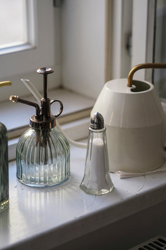 Plant mister, salt shaker, and watering can on a windowsill.