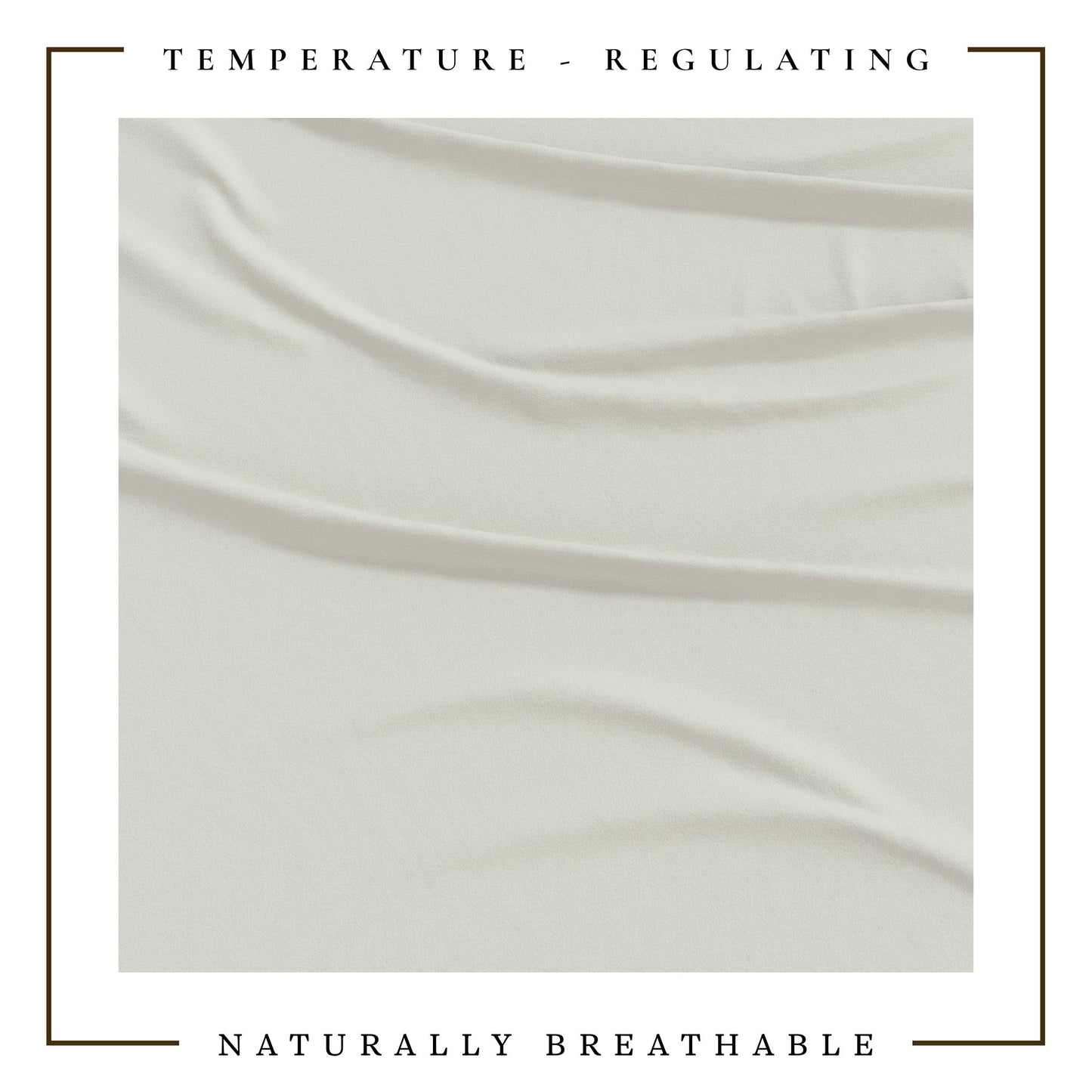 4-Piece Jersey Sheet - Carmen Collection