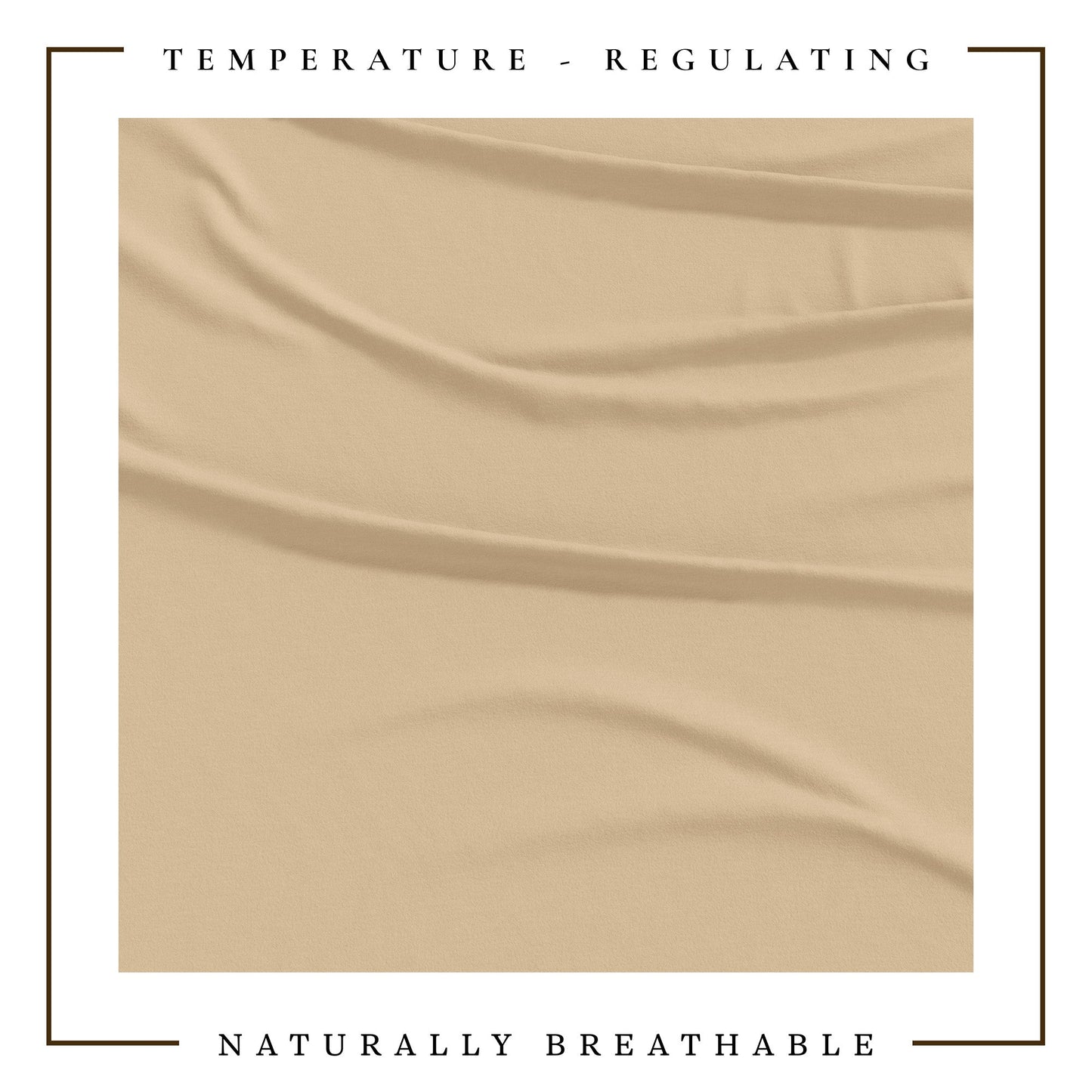 4-Piece Jersey Sheet - Carmen Collection