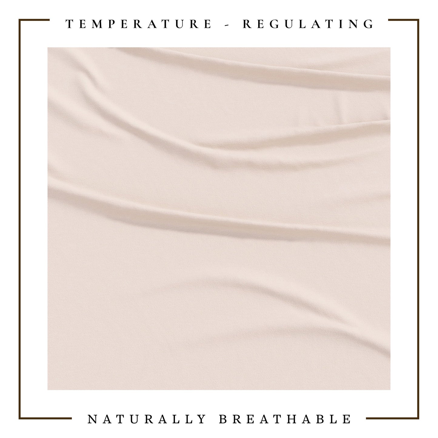 4-Piece Jersey Sheet - Carmen Collection